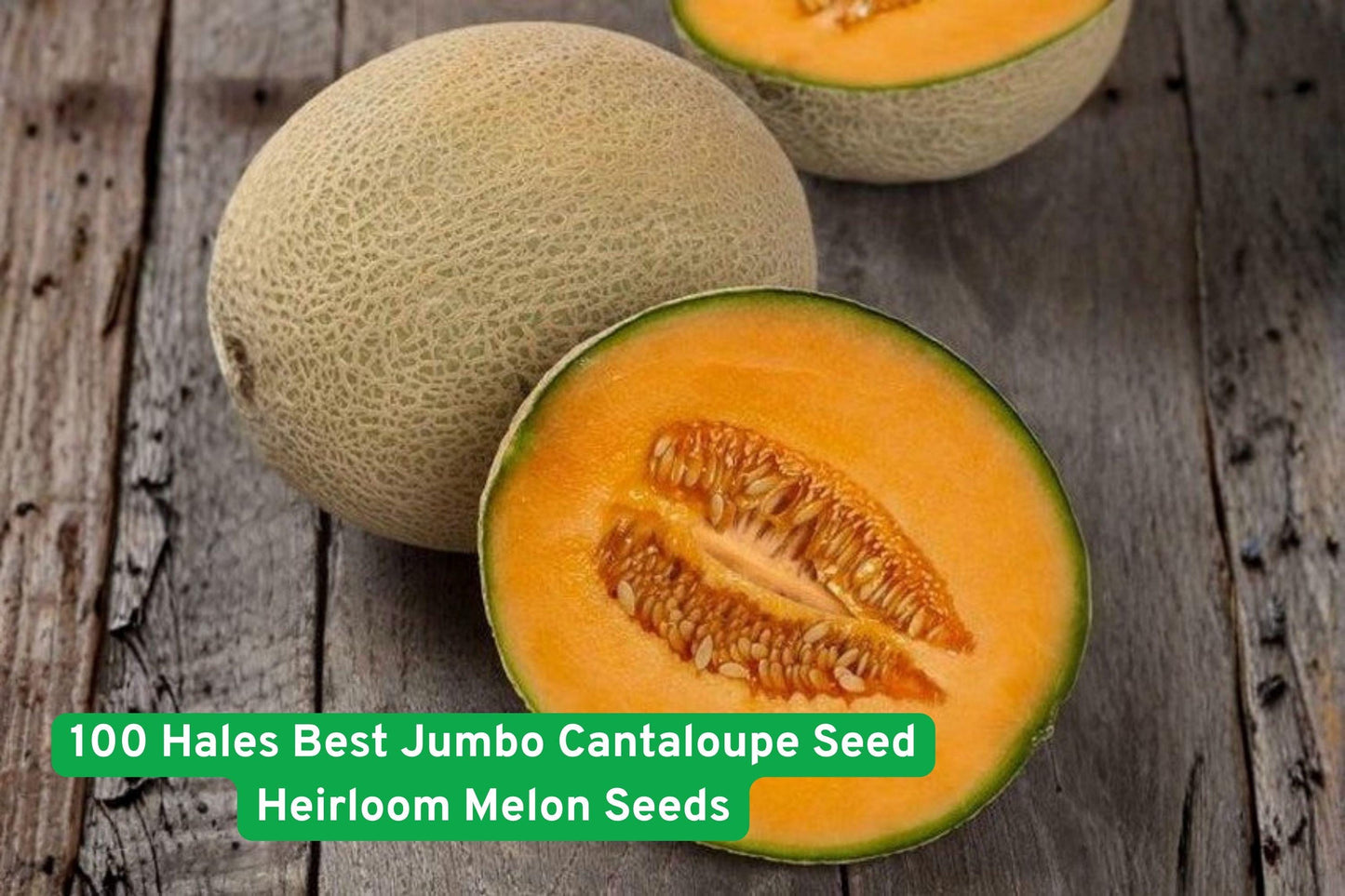 Heirloom Cantaloupe Seeds | Hale’s Best Jumbo | Non-GMO Orange Flesh Melon | Cucumis melo