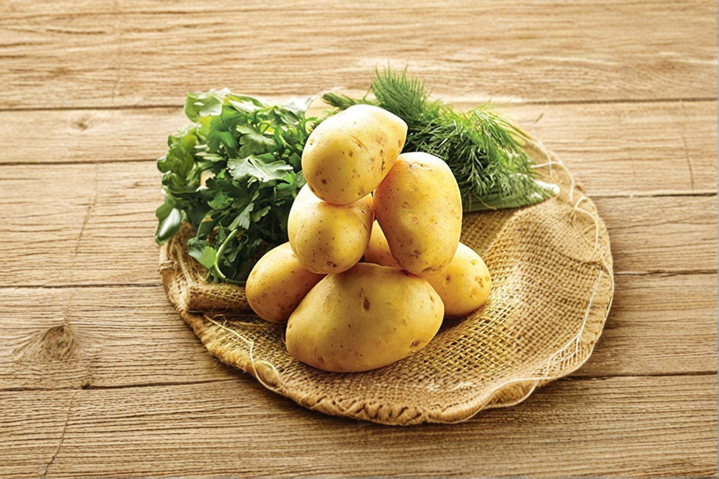 German Butterball Potato Seed Tubers – 3 Pounds, Heirloom Solanum tuberosum, Yellow Flesh, Garden Plant, Edible Root Crop