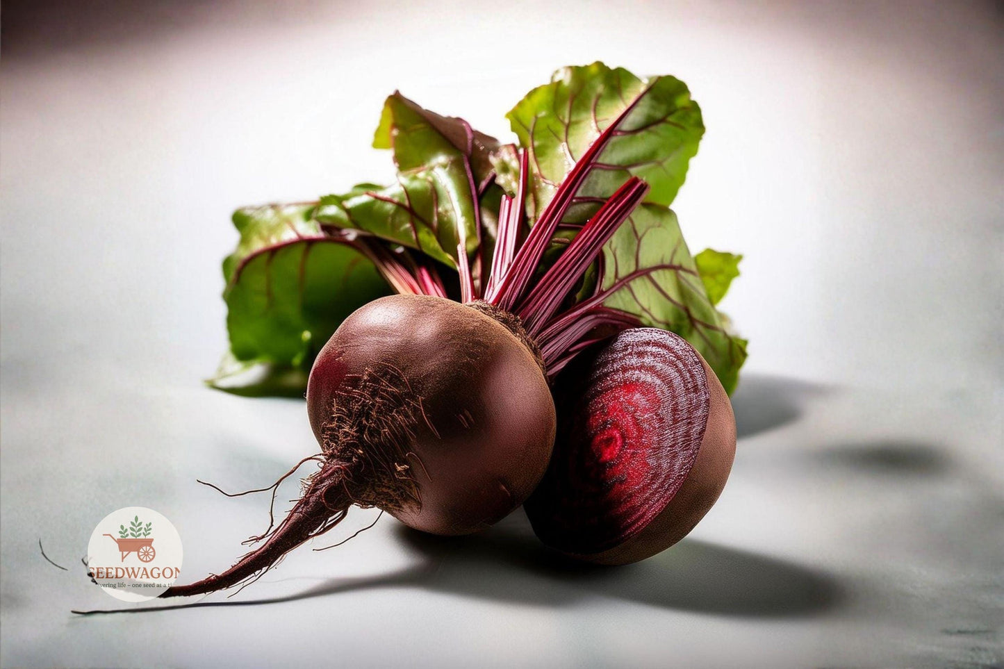 Detroit Dark Red Beet Seeds – Heirloom Non-GMO Beta vulgaris for Root Vegetables, Salad, and Cooking, 100 Seeds