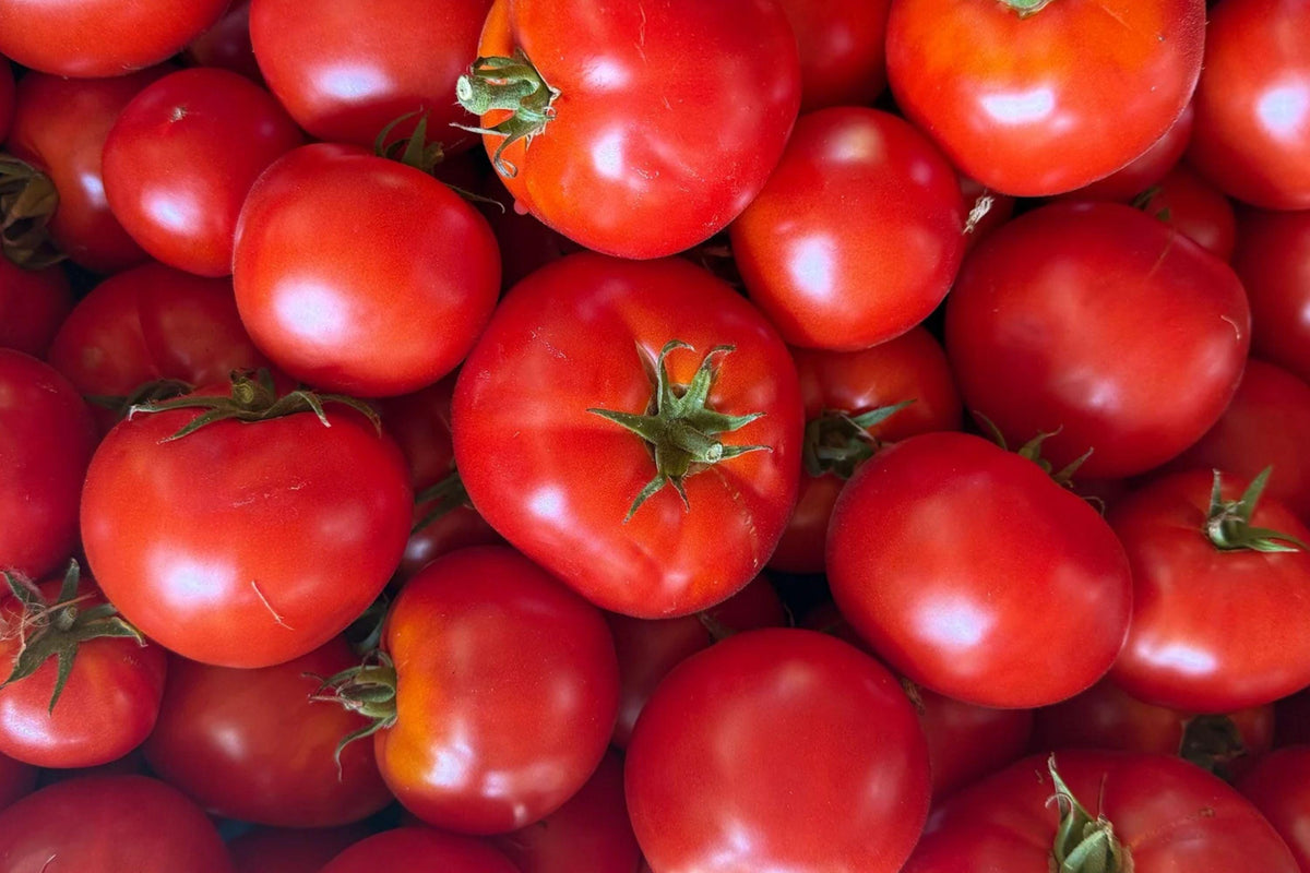 Watermelon Beefsteak Tomato Seeds – Heirloom Pink Fruit, Large Slicing Tomatoes, Solanum lycopersicum, 35 Seeds