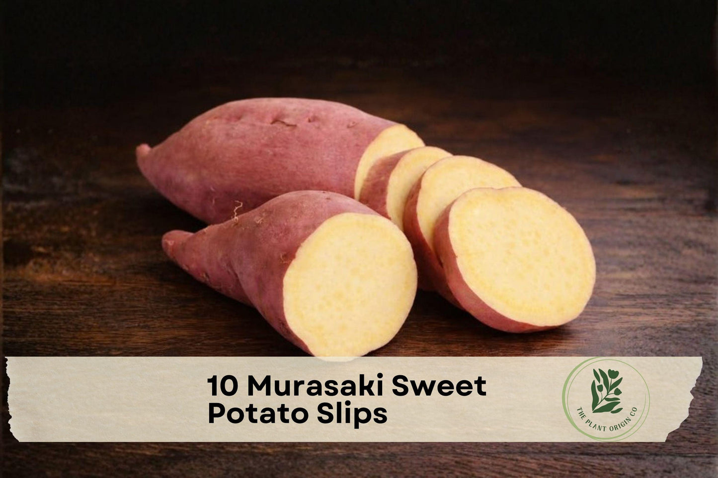 Murasaki Sweet Potato Slips, Edible Root Crop, Ipomoea batatas, Grow Your Own Vegetables, Live Plant for Garden or Container