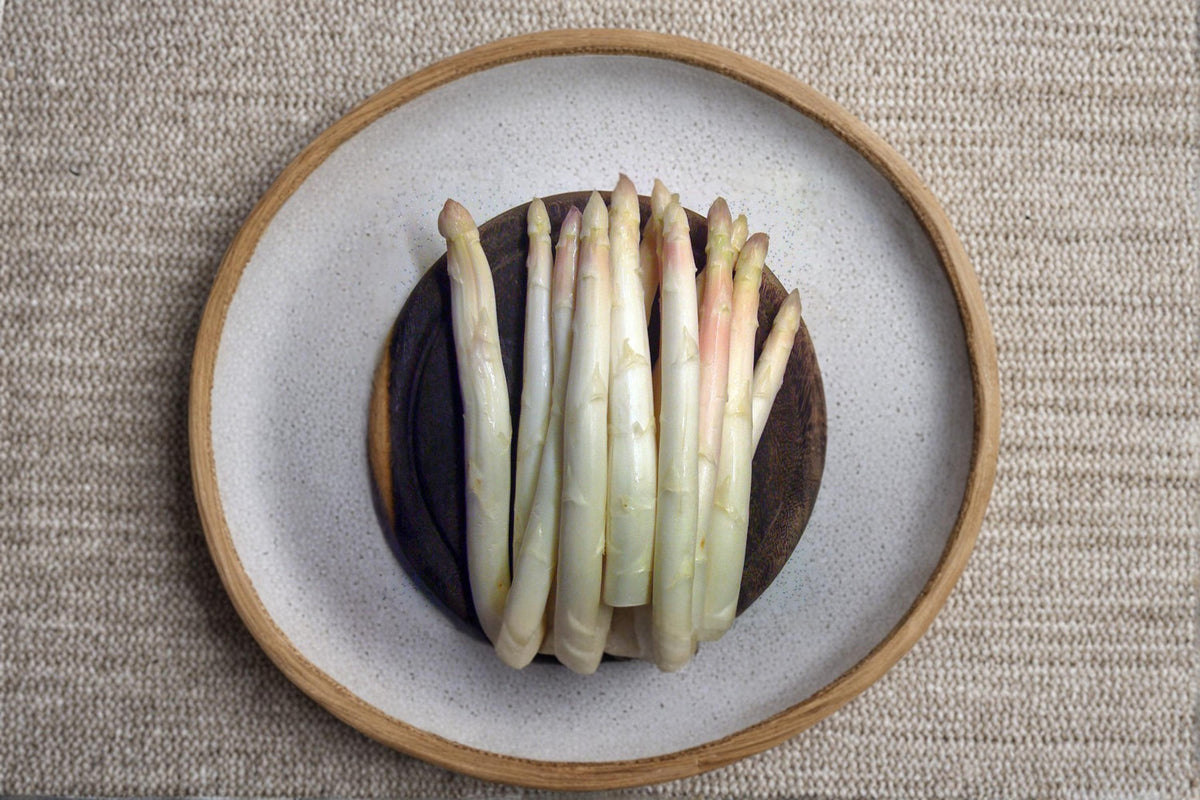 White Asparagus Seeds – 100+ Asparagus officinalis Perennial Vegetable for Edible Gardens