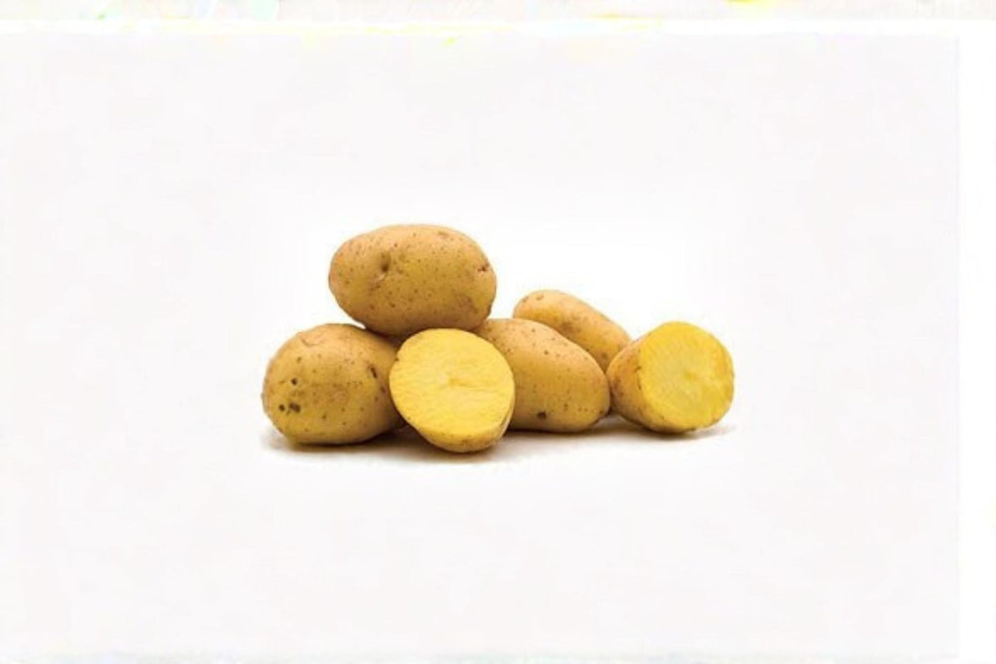 Yukon Gold Potato Tuber – Solanum tuberosum, Yellow Flesh, Garden Vegetable, Seed Potato for Planting