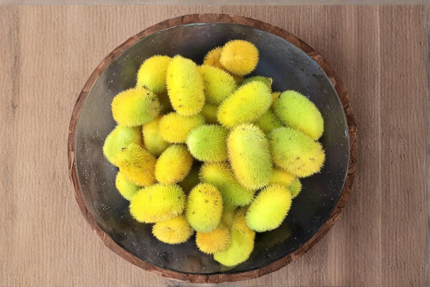 Hedgehog Gourd Seeds – Cucumis dipsaceus – Ornamental Spiny Fruit Vine – Garden Climber & Decorative Plant