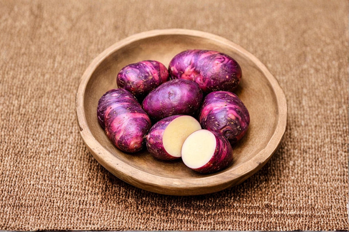 Viking Purple Seed Potatoes 5 lbs – Purple Skin Root Vegetables for Garden, Solanum tuberosum