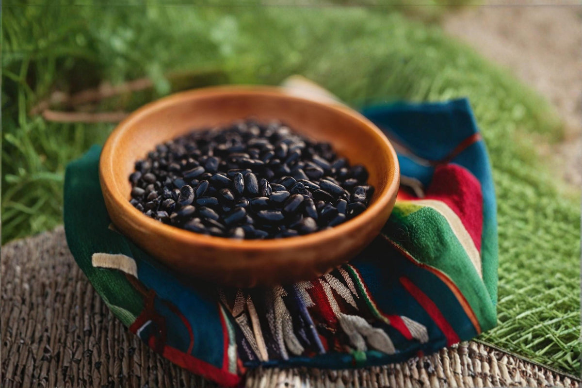 Cherokee Trail of Tears Bean Seeds – Heirloom Pole Bean Phaseolus vulgaris for Garden, Climbing, Dark Purple Pods, 20 Seeds