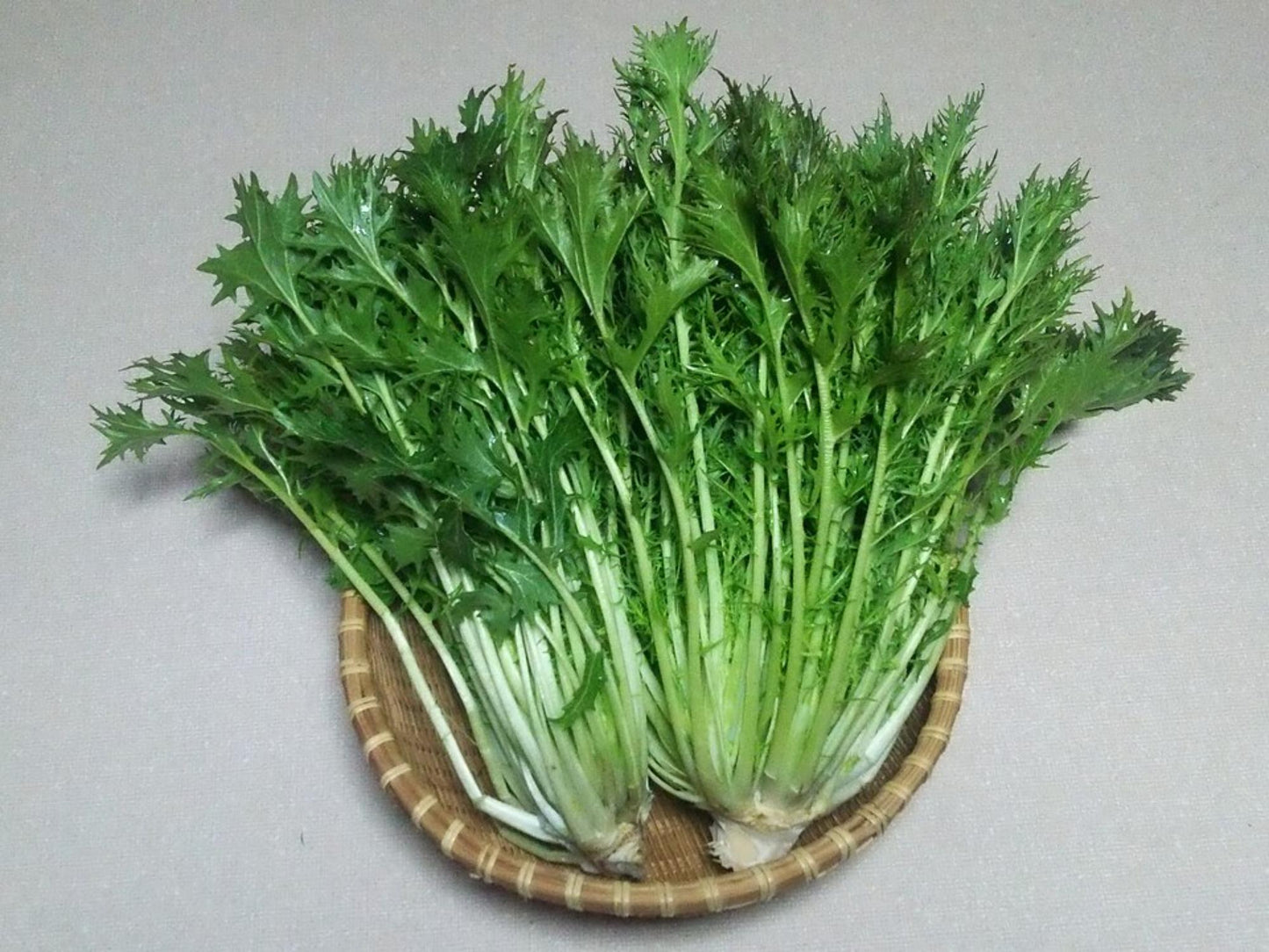 Mizuna Spinach Seeds – Vegetable Seeds for Home Garden, Edible Garden, Container Gardening, Brassica rapa