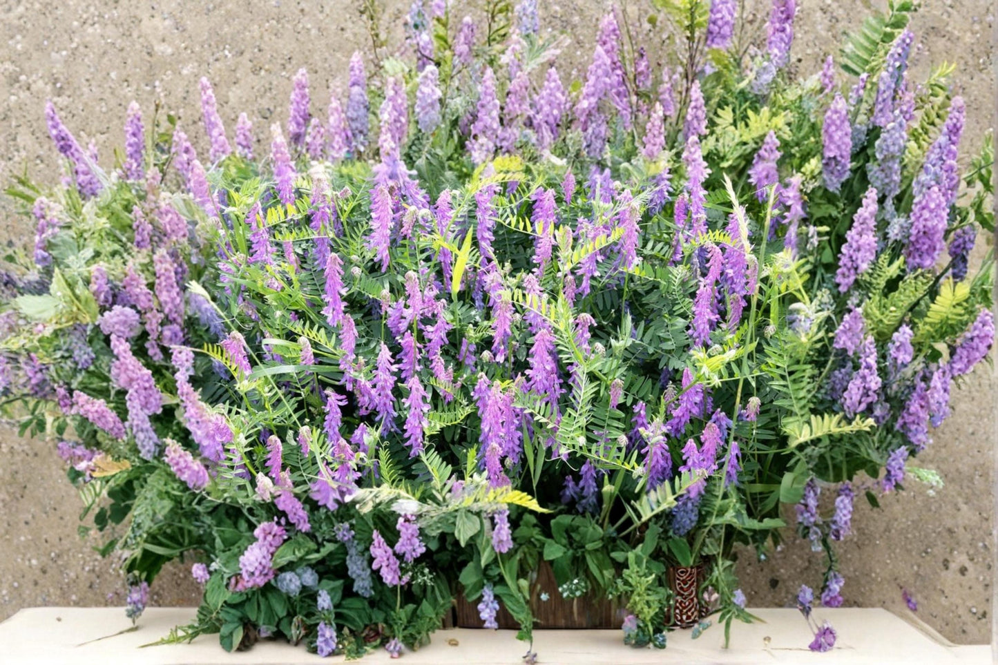 Hairy Vetch Seeds 8 Pounds – Cover Crop, Pollinator Support, Vicia villosa, Purple Flowering Vine
