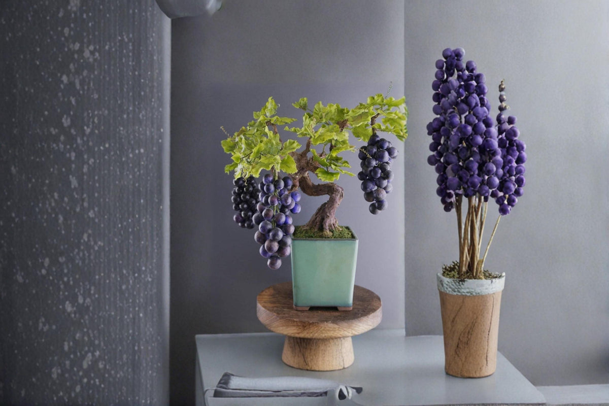 Grape Bonsai Tree Seeds – Miniature Climbing Vine for Bonsai & Container Gardens – Vitis Species