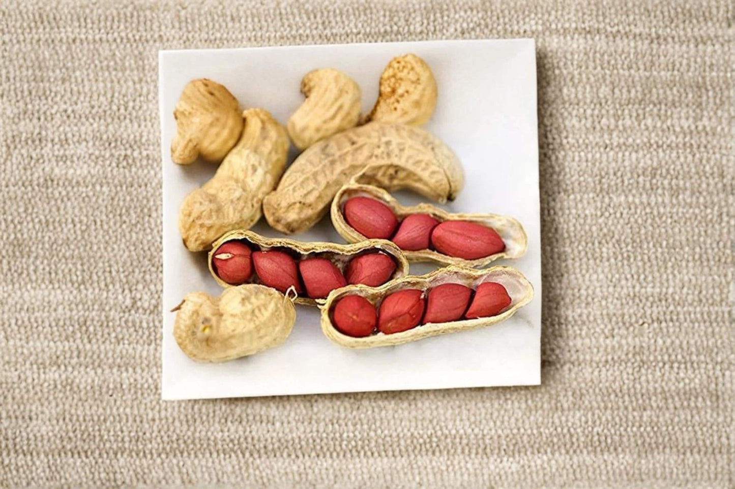 Tennessee Red Valencia Peanut Seeds – Non-GMO Arachis hypogaea Heirloom Garden Legume for Full Sun & Well-Draining Soil