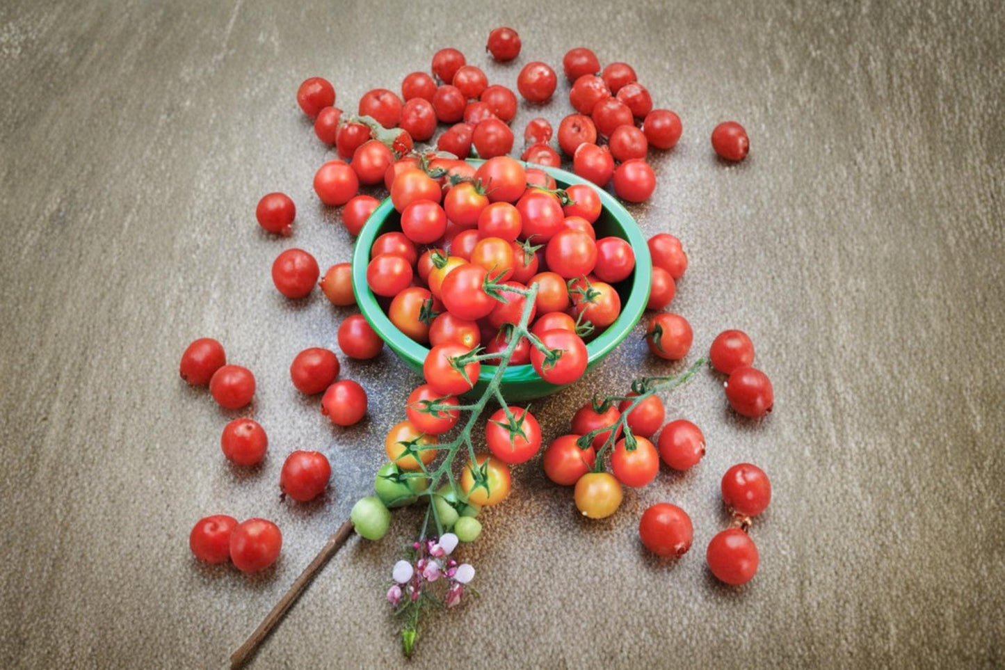 Super Sweet 100 Cherry Tomato Seeds – Solanum lycopersicum, Vining, Red, 100+ Seeds for Garden, Container, or Greenhouse Planting