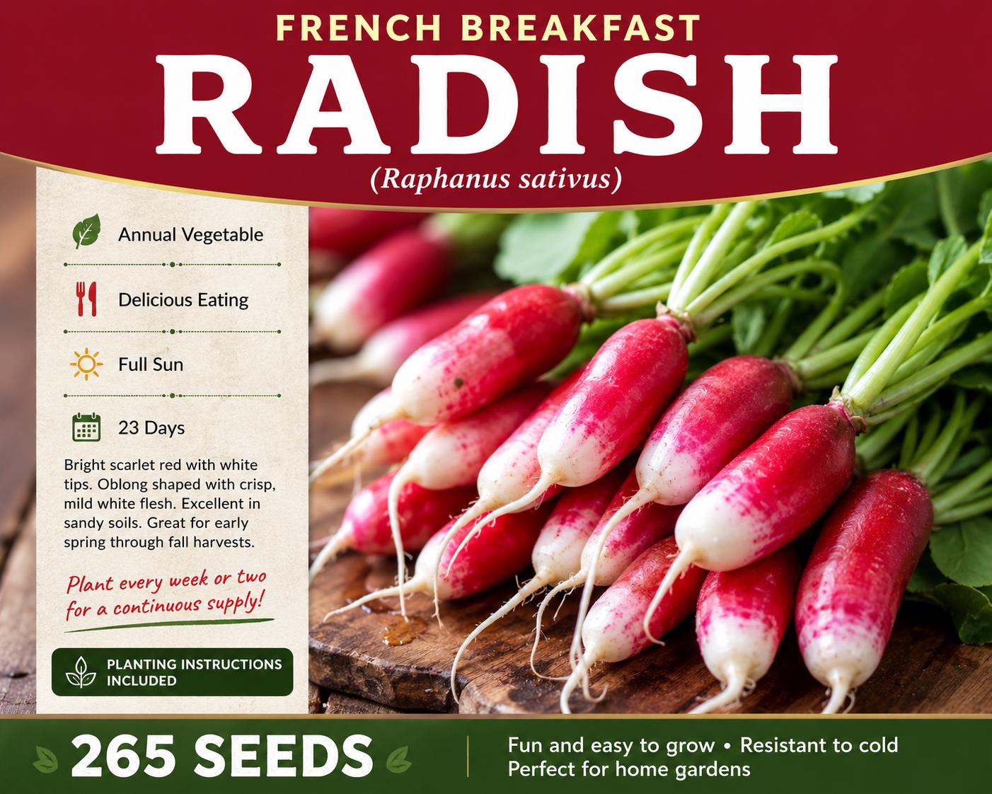 French Breakfast Radish Seeds – Raphanus sativus Heirloom Vegetable Seeds, Scarlet Red with White Tips, Fast-Growing Annual