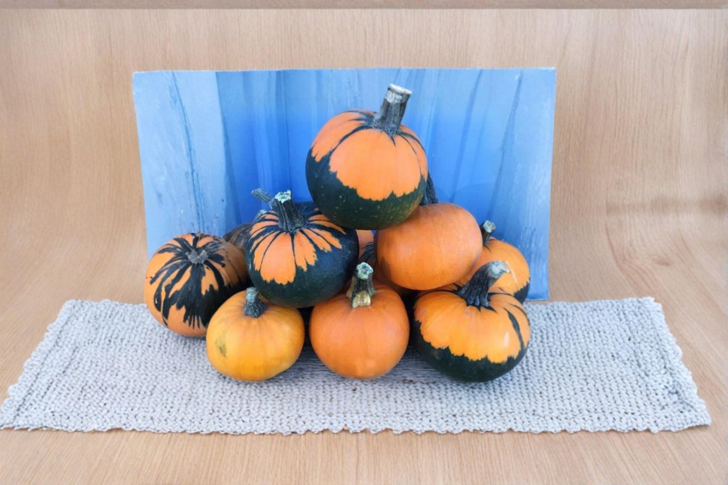 Batwing Pumpkin Seeds – Ornamental Cucurbita pepo with Black Cape Markings for Fall Gardens & Halloween Decor