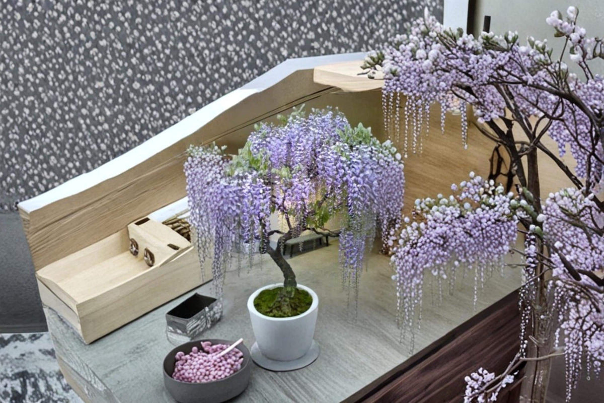 Purple Wisteria Bonsai Seeds – Flowering Climbing Vine, Wisteria sinensis, Ornamental Garden Plant Seeds