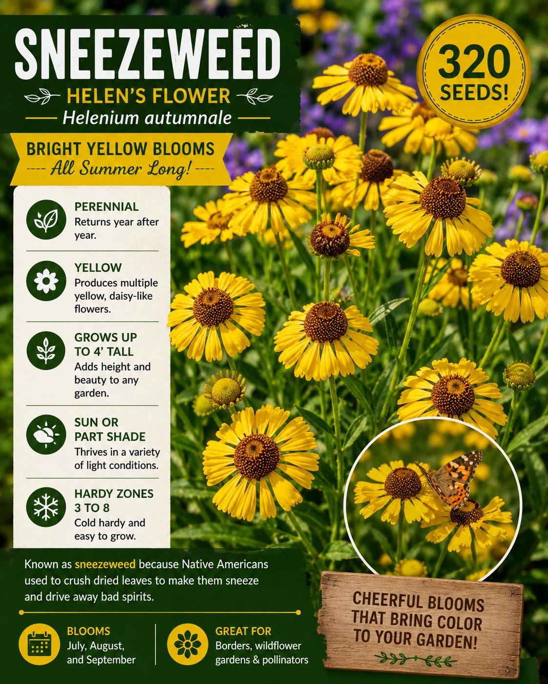 Sneezeweed Seeds 320 Pack – Helenium autumnale Perennial Wildflower with Bright Yellow Daisy-Like Flowers for Sun & Part Shade
