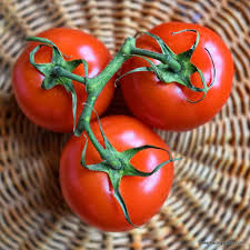Floradade Tomato Seeds | Heirloom | Heat-Tolerant | Non-GMO | | Perfect for Warm Climates