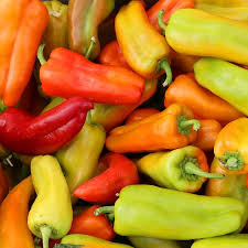 Cubanelle Pepper Seeds | Heirloom Sweet Frying Peppers | Non-GMO | | Zones 4-10