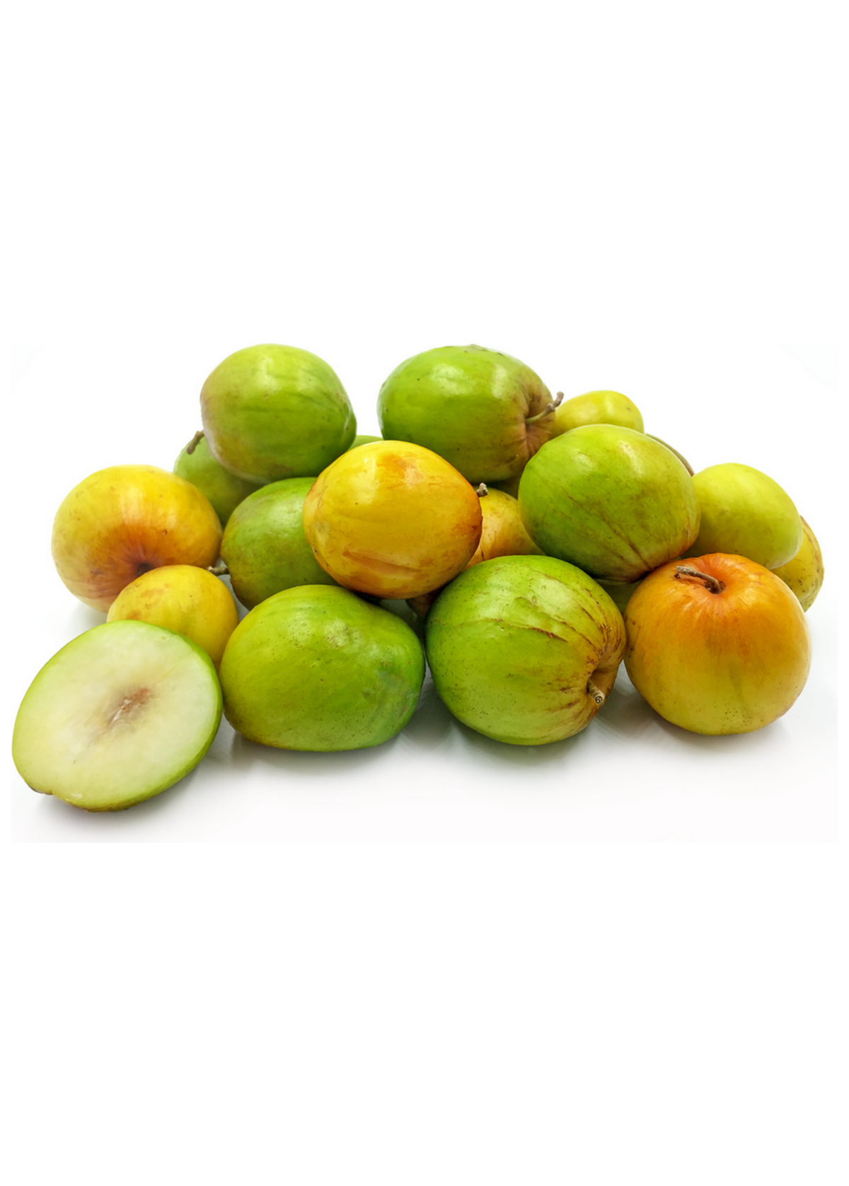 Indian Jujube Tree - Ziziphus mauritiana, Fruit-bearing, Green to Red, Hardy, Drought-tolerant, Edible Fruit, South Asia