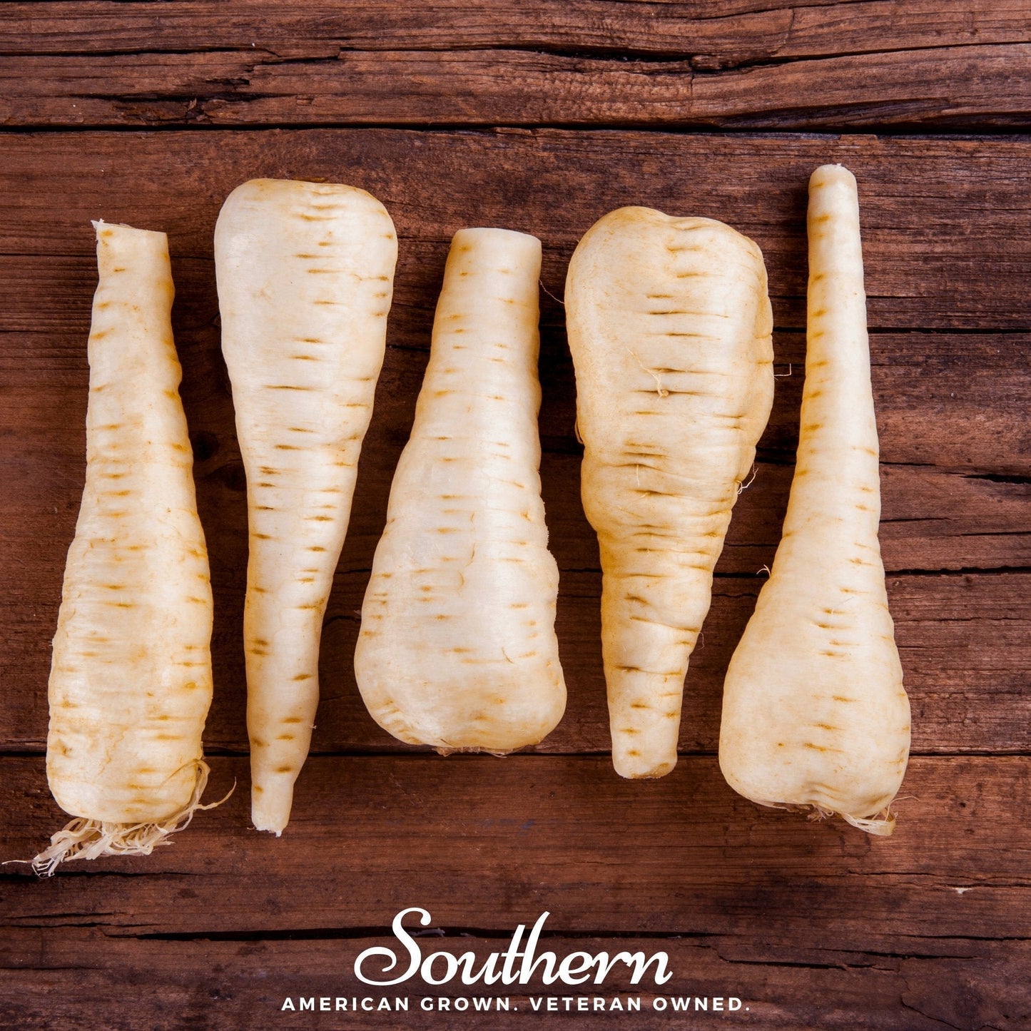 Harris Model Parsnip Seeds – Heirloom, Open Pollinated, Non-GMO, 100 Seeds, All America Selection Winner