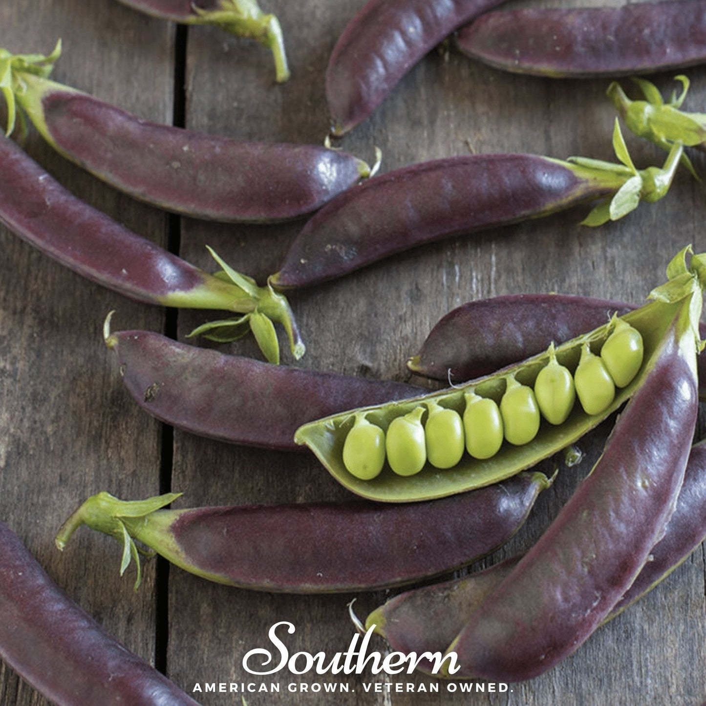 Royal Snap II Pea Seeds – Heirloom Purple Pods, Edible, Sweet, Stringless, Cool-Season, 20 Seeds, Pisum sativum