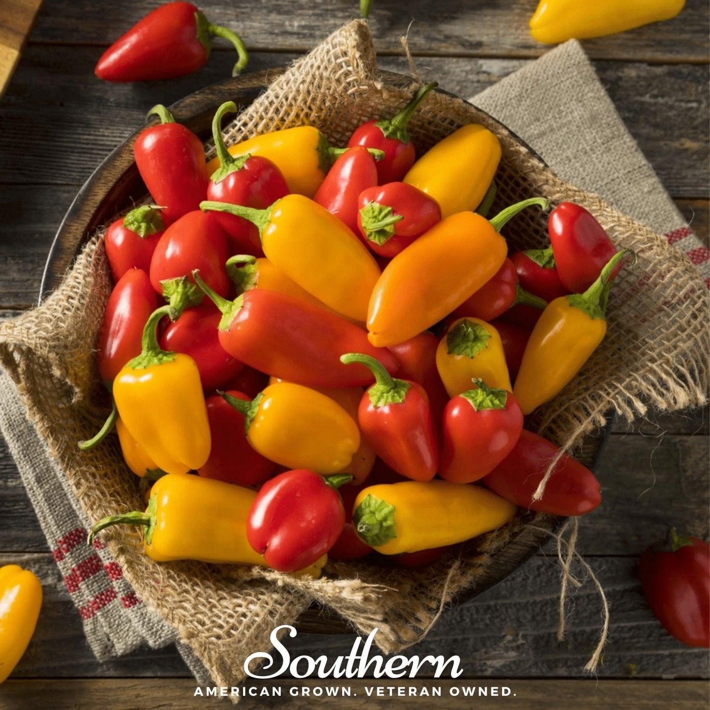 Lunchbox Sweet Pepper Seeds – Miniature Red, Yellow & Orange Bell Peppers for Snacking, Container Gardening, Heirloom, Non-GMO, 25 Seeds