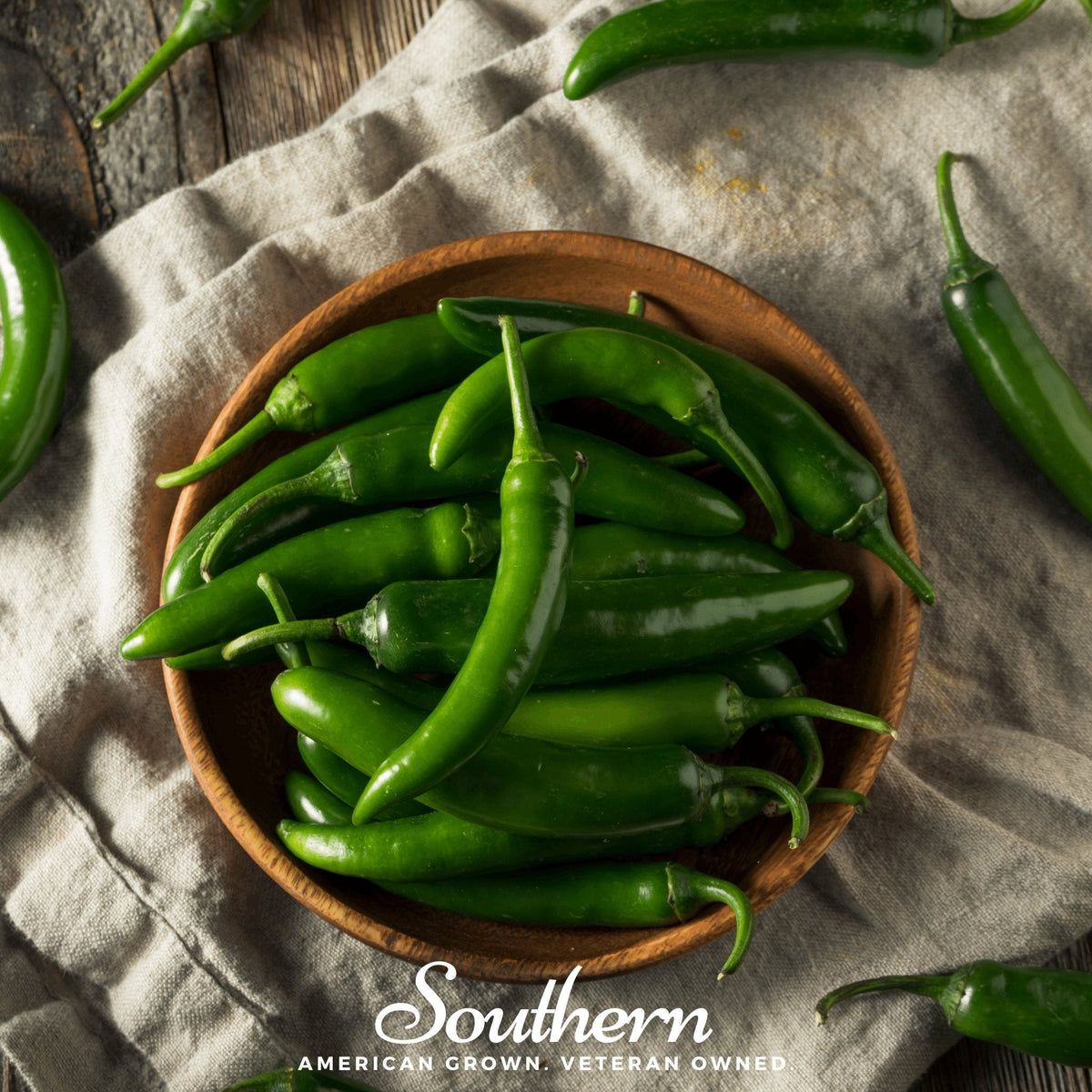 Serrano Pepper Seeds – 25 Heirloom, Open Pollinated, Non-GMO – Capsicum annuum for Spicy Salsas & Pico de Gallo