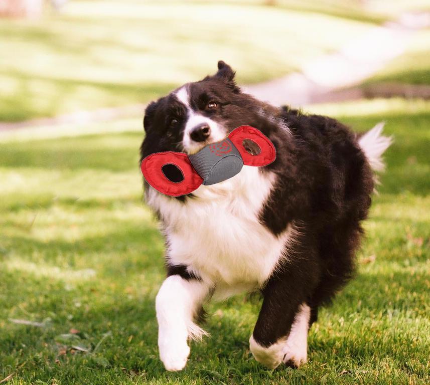 Pet Life ® 'Chompter' Dura-Chew Plush Waterproof Tugging Nylon Dog Toy