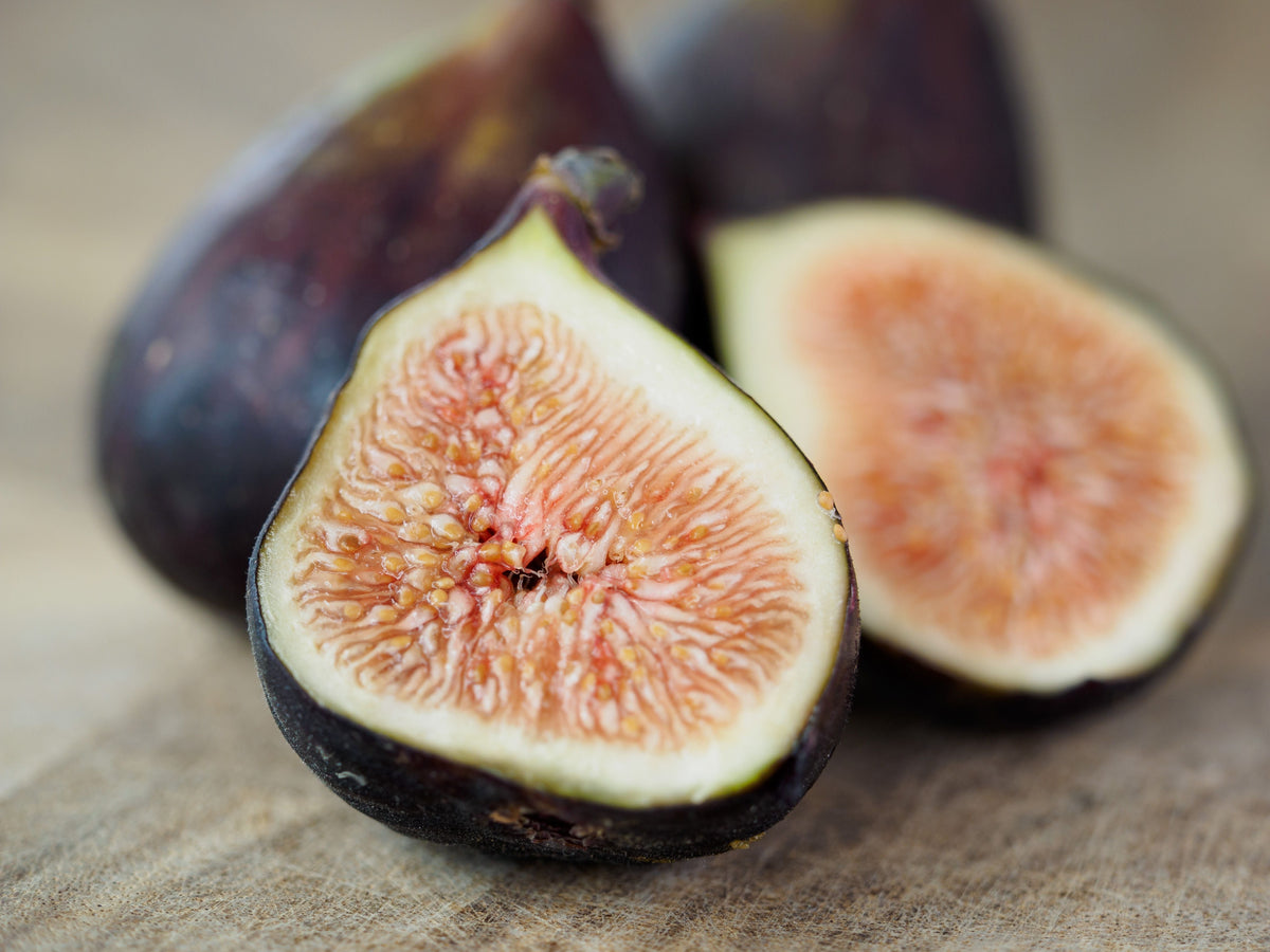 Olympian Fig Tree Live Plant Ficus Carica 1 Quart Grow Bag Edible Fruit Tree