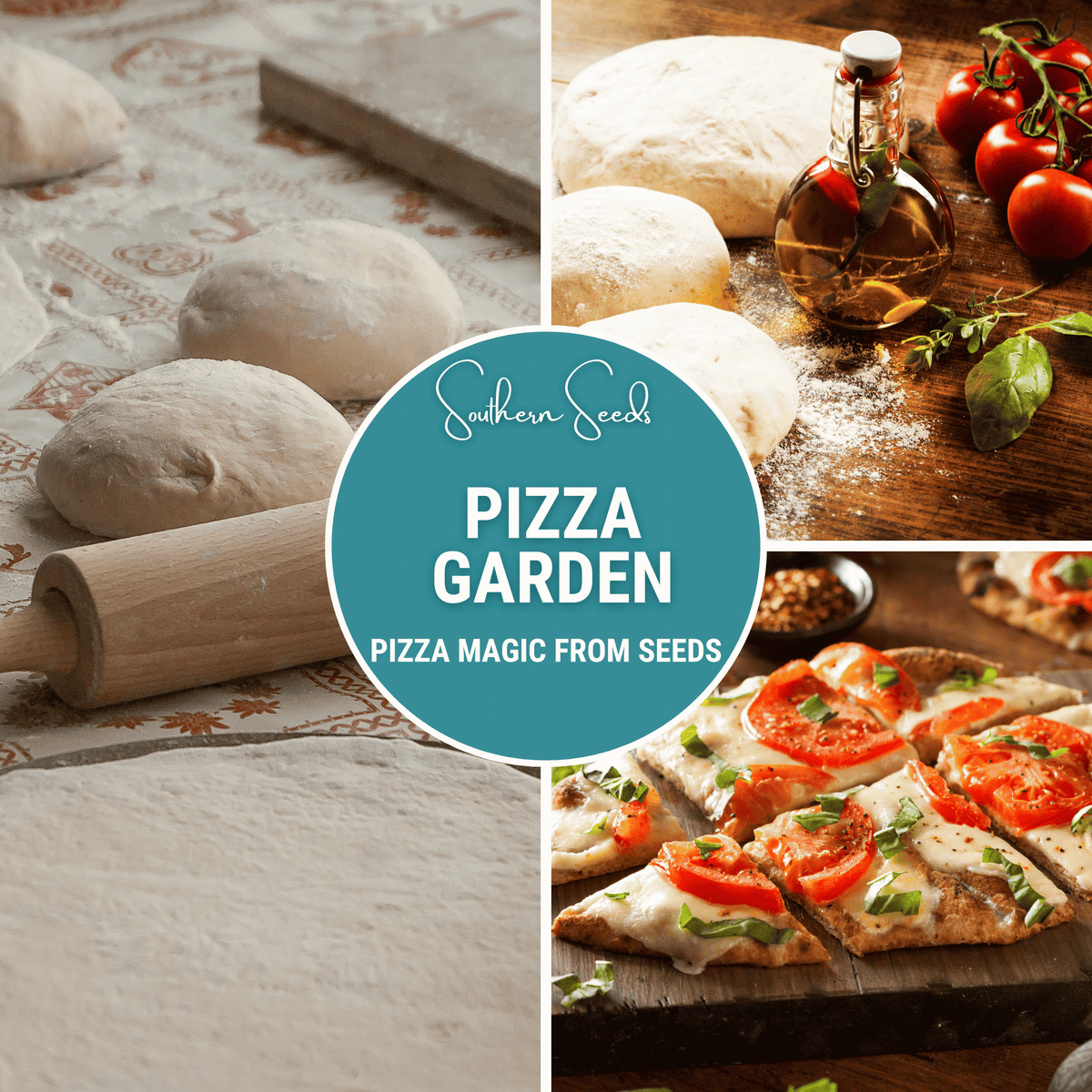 Pizza Garden Seed Collection – 10 Varieties for Homegrown Tomatoes, Herbs & Peppers, Organic Vegetable Seeds