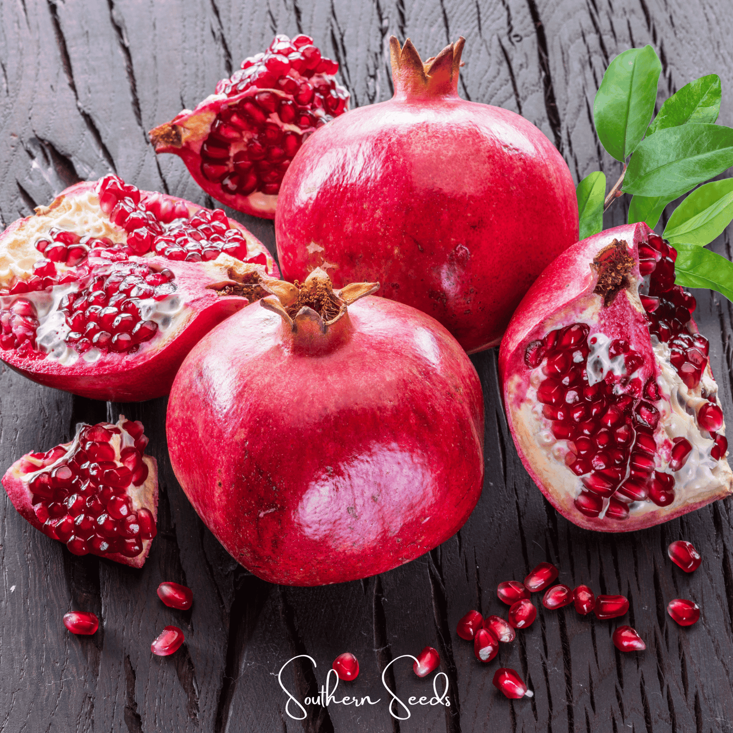 Pomegranate Seeds 20 Pack | Heirloom Punica granatum | Edible Juicy Seeds & Ornamental Flowers