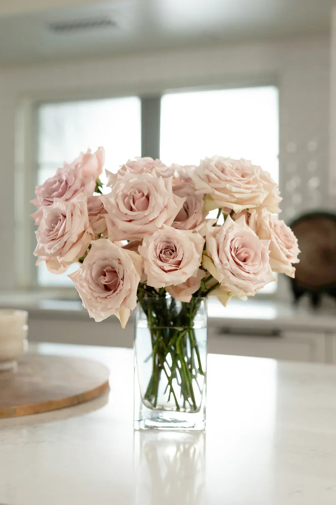 Super Rare Quicksand Rose Cuttings – Rosa ‘Quicksand’ Nude Beige Wedding Rose for Rooting & Grafting, Unrooted Flowering Plant
