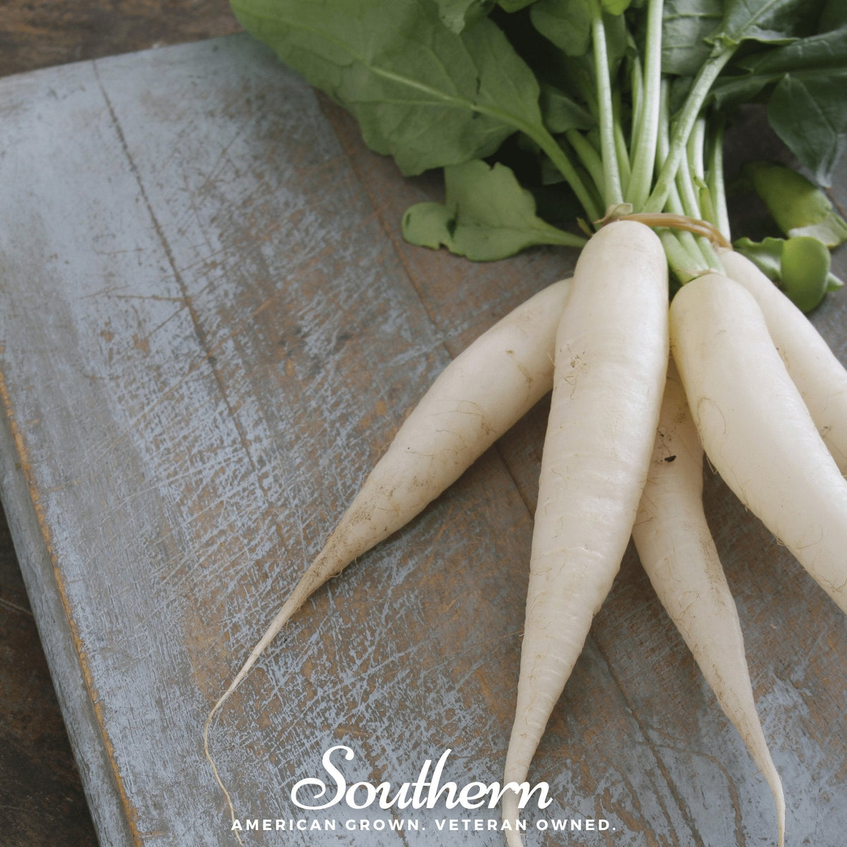 White Icicle Radish Seeds – Heirloom, Non-GMO, 100 Seeds, Raphanus sativus, Crisp, Tapered, Snow-White Radishes for Salads & Garnishes