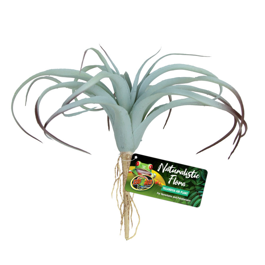 Zoo Med Naturalistic Flora Tillandsia Air Plant Terrarium Plant