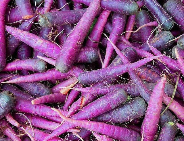 Cosmic Purple Carrot Seeds – Non-GMO Vegetable Seeds, 300+ Pack, Daucus carota, Colorful, Nutritious, Easy to Grow