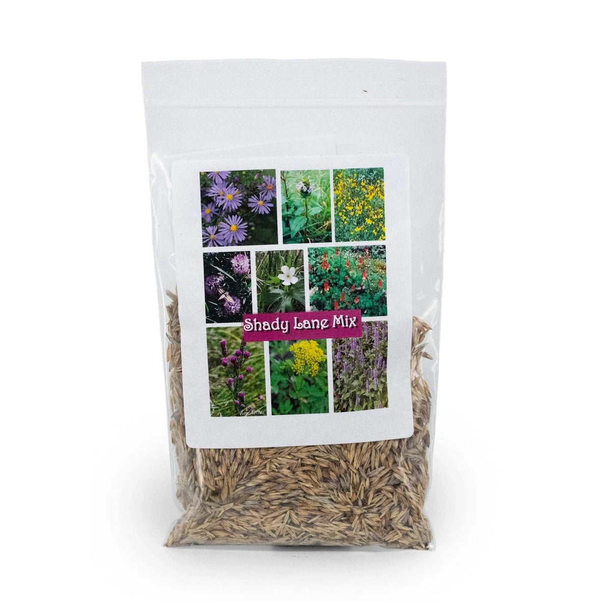 Native Wildflower Seed Mix, 2.88 oz, Shady Lane Variety, Prairie Legacy Inc. - Shade-Tolerant, Drought-Resistant, Native Wildflowers for Pollinator Gardens