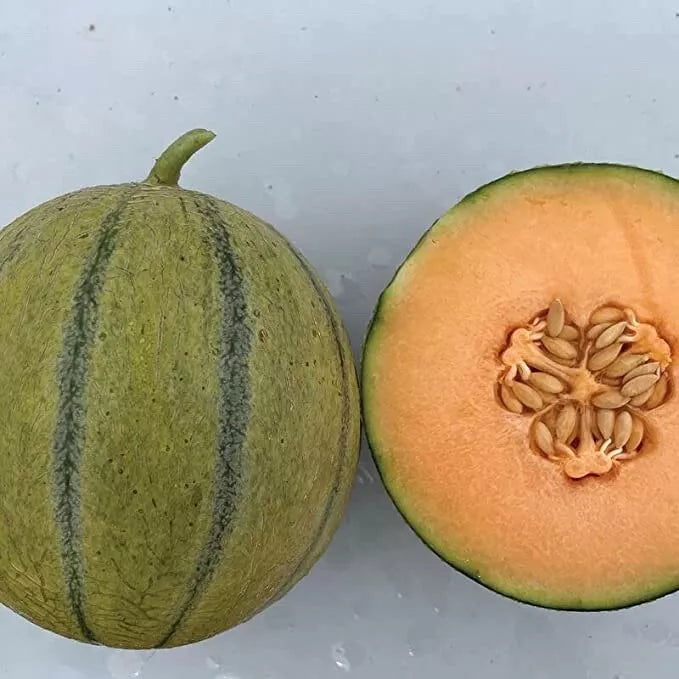 Melonade Cantaloupe Seeds for Planting - Sweet Juicy Cucumis melo (10 Seeds)