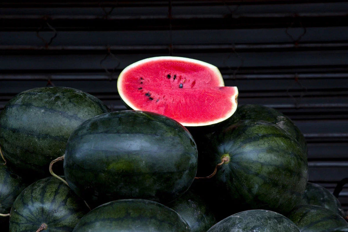 Florida Giant Black Diamond Watermelon Seeds - 10 Pack - Citrullus lanatus