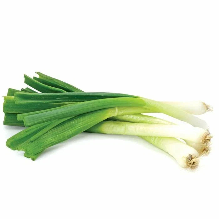 Toky Long White Bunching Onion Seeds - Allium fistulosum Vegetable Garden Seeds for Fresh Onions