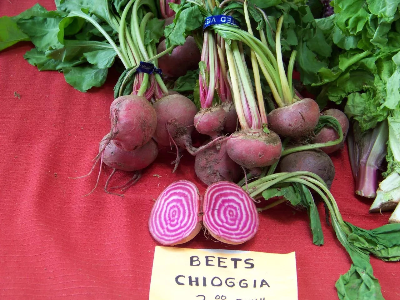 Beet Seeds - Chioggia Candystripe Bullseye Beta vulgaris Non-GMO Vegetable Seeds for Home Gardening, 165 Pack