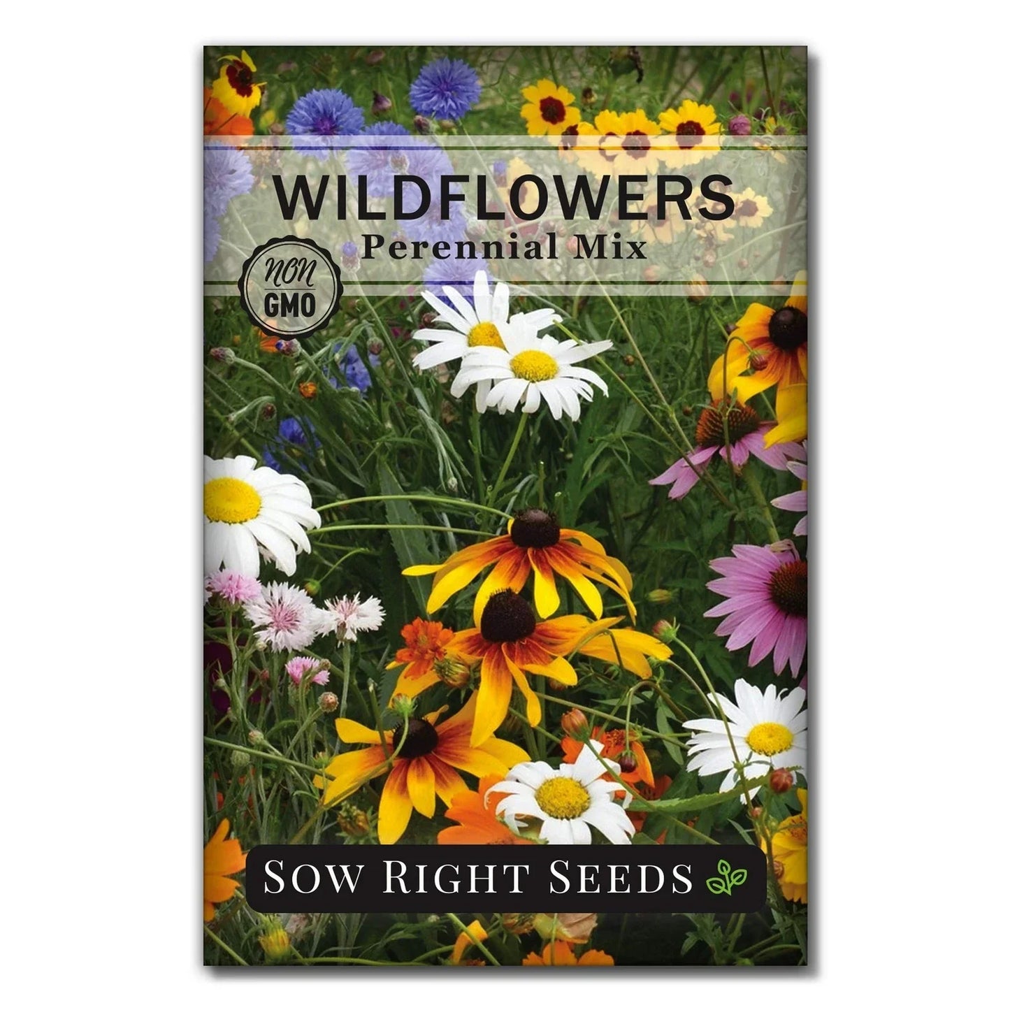 Wildflower Seeds Mix Packet - Non-GMO Heirloom Perennials for Natural Gardens