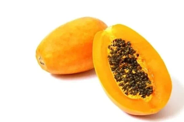Hawaii Yellow Papaya Seeds - 60 Count, Sweet Variety, Carica papaya, Tropical Fruit Seeds, USA Grown, 2024 Harvest