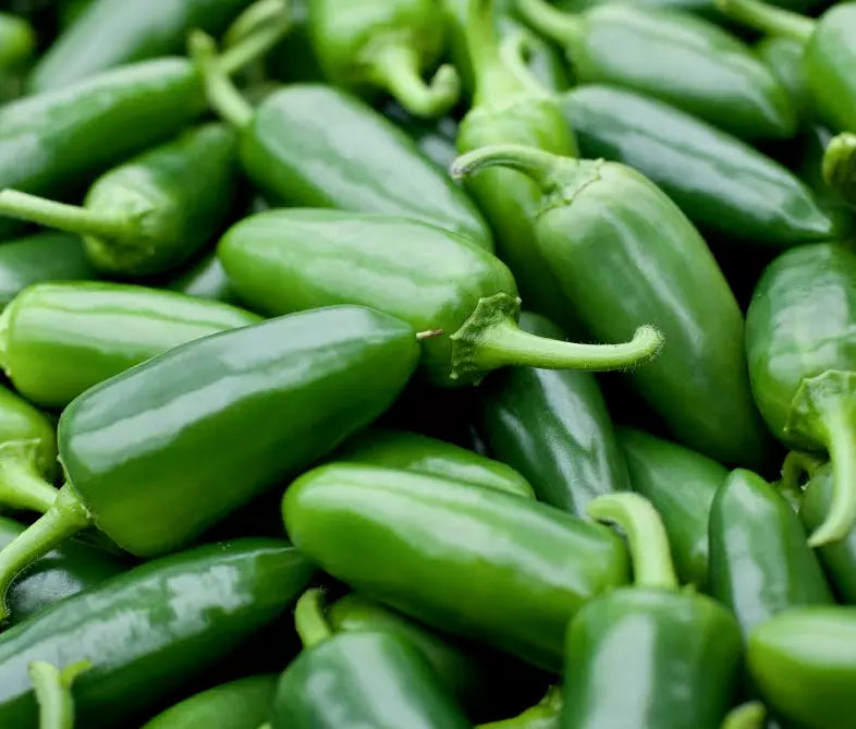 Jalapeno Pepper Seeds 50+ Capsicum annuum for Salsas and Culinary Use, Spicy Mexican Variety