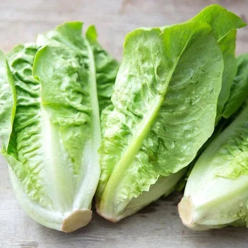 Little Gem Lettuce Seeds – Heirloom Non-GMO Organic Lactuca sativa – Compact Salad Greens Seed Packet