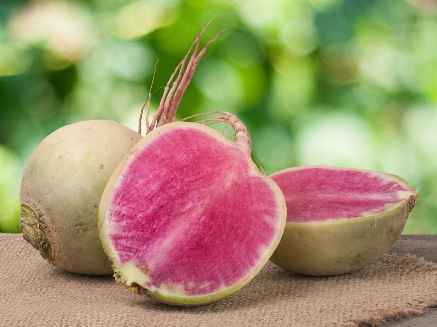 Watermelon Radish Seeds - Organic Vegetable Seeds for Home Gardening - Raphanus sativus - 300+ Seeds Pack