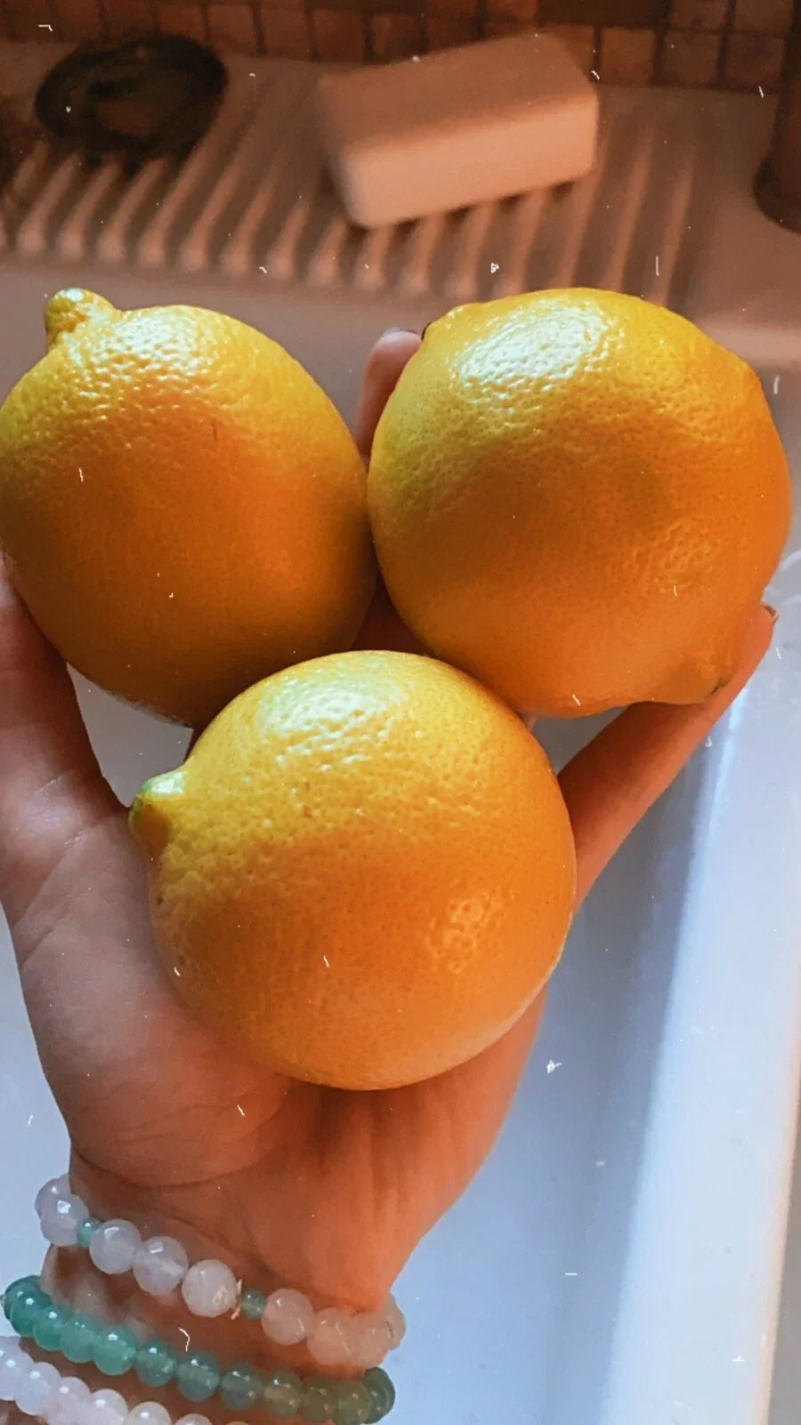 Organic Lemon Seeds - 20 Non-GMO Pesticide-Free Citrus limon Fruit Tree Seeds for Home Gardening