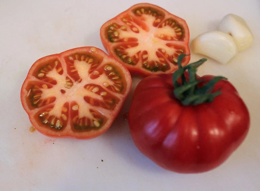 Sub Arctic Plenty Tomato Seeds – Heirloom Organic Non-GMO, Early Maturing, Solanum lycopersicum, Compact Bush, Cool Climate Friendly
