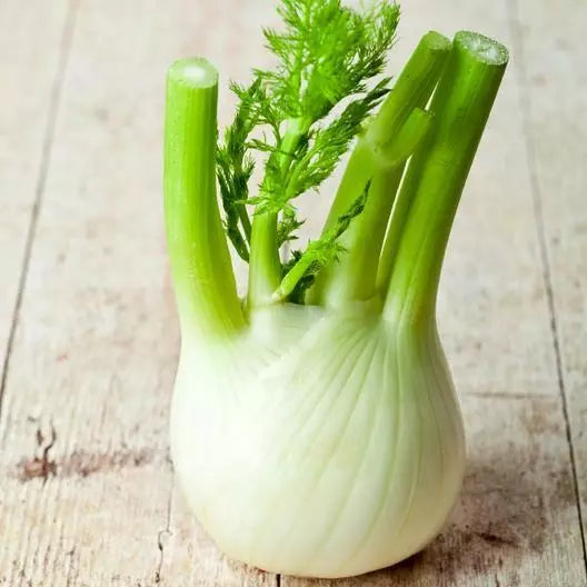 Florence Fennel Seeds - 400 Non-GMO Herb Seeds - Foeniculum vulgare dulce - Gourmet Culinary, Easy to Grow, USA Seller