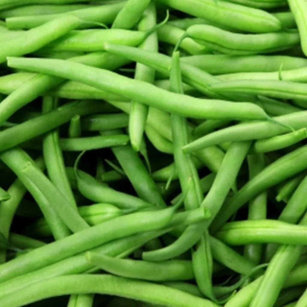 Kentucky Wonder Pole Bean Seeds 50 Pack Heirloom Non-GMO Vegetable Garden Seeds Phaseolus vulgaris