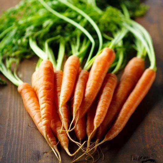 Imperator Carrot Seeds - 2000 Heirloom NON-GMO Vegetable Seeds Daucus carota for Home Gardening