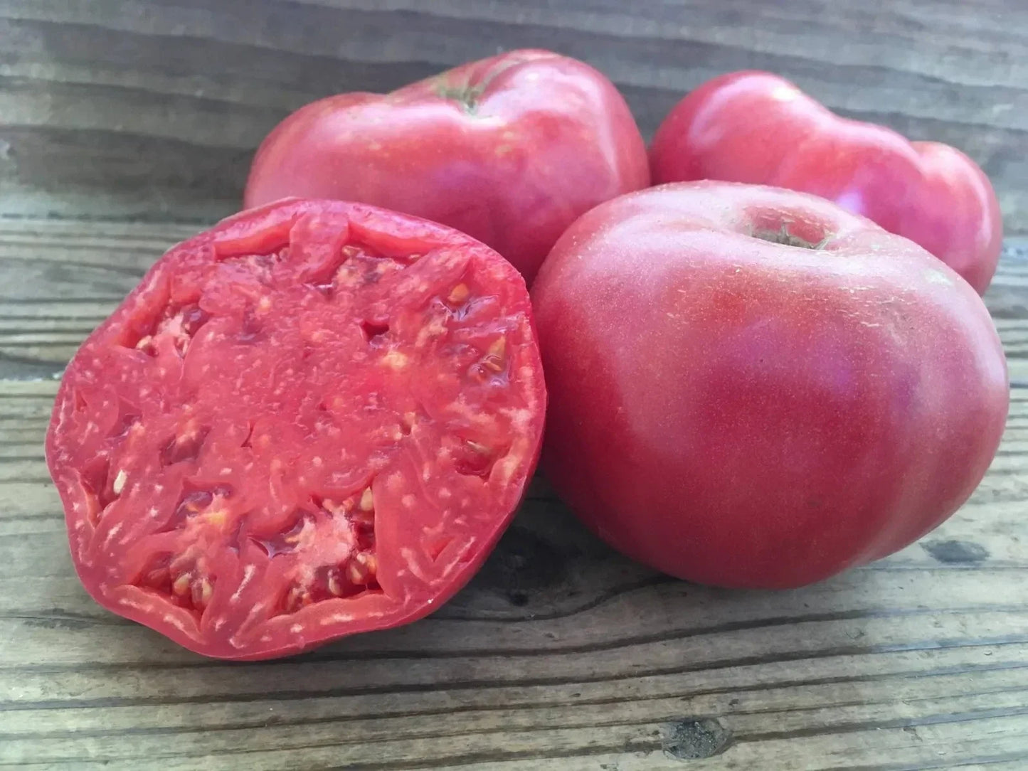 Mortgage Lifter Tomato Seeds - Heirloom Organic Non-GMO Seeds for Home Gardening - Solanum lycopersicum
